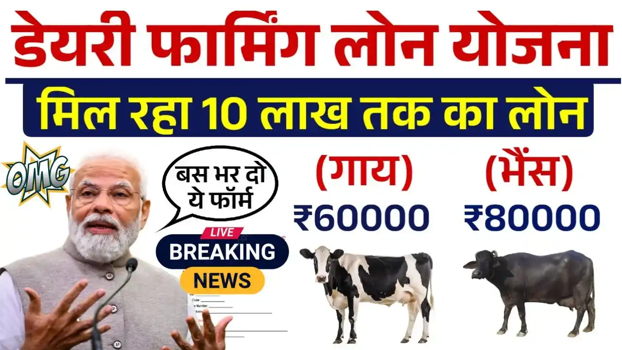 Dairy Farming Loan Apply